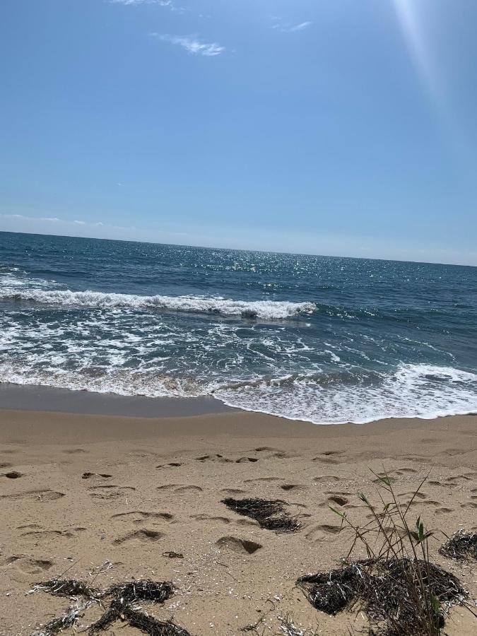 Аппартамент Pines Beach Resort 比亚拉 外观 照片